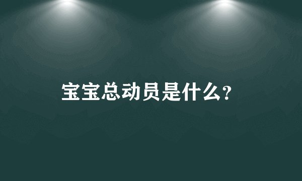 宝宝总动员是什么？