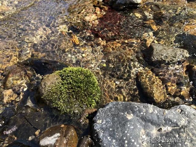 保定一日游最佳景点