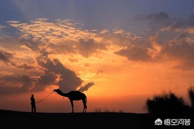 高进创作的歌曲大全