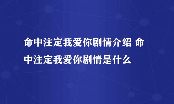 命中注定我爱你剧情介绍 命中注定我爱你剧情是什么