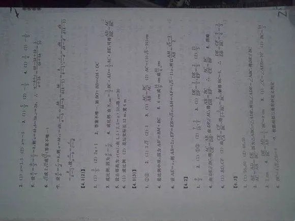 浙教版九年级上册数学作业本答案
