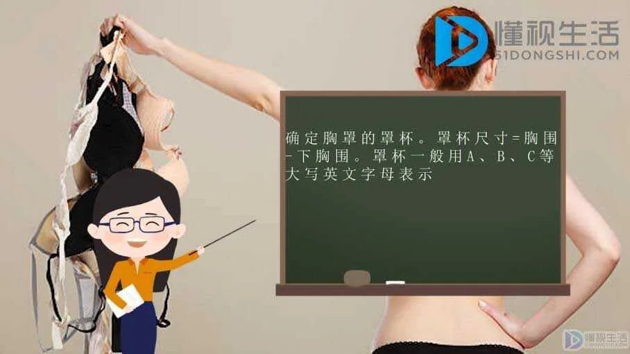 文胸罩杯的计算方法