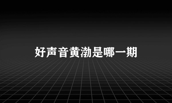 好声音黄渤是哪一期