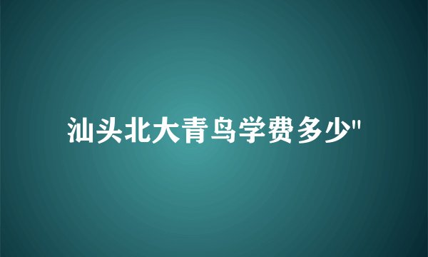 汕头北大青鸟学费多少