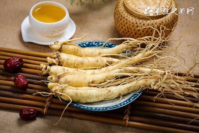 边境牧羊犬好养吗 边境牧羊犬饲养注意事项