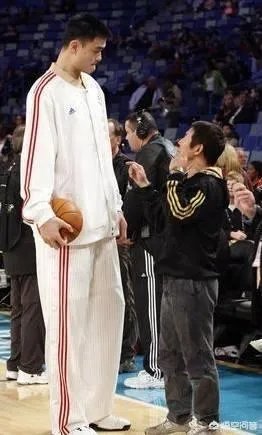 你觉得NBA球星和姚明一起合影会是什么效果？