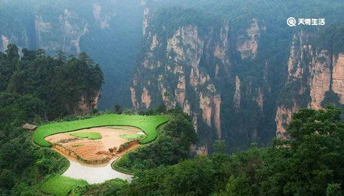 张家界是哪个省