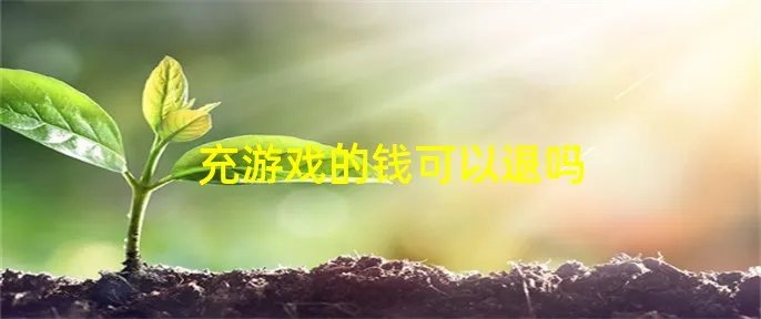 充游戏的钱可以退吗