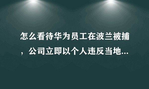 怎么看待华为员工在波兰被捕，公司立即以个人违反当地法律理由解雇一事？