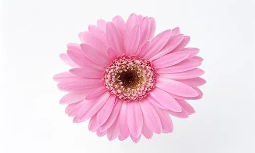 你问我爱你到底有多深，钞票可以代表我的心