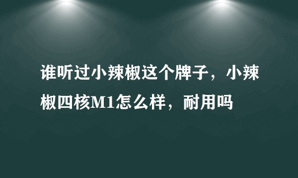 谁听过小辣椒这个牌子，小辣椒四核M1怎么样，耐用吗