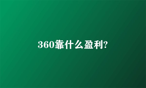 360靠什么盈利?