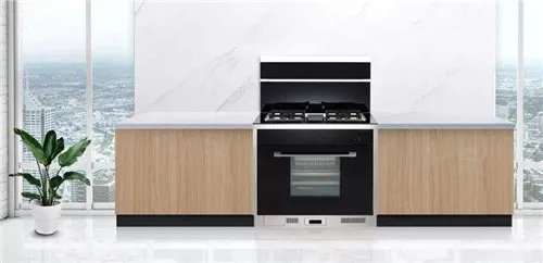 瑞贝格尔集成灶加盟政策  瑞贝格尔集成灶招商政策支持