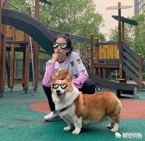 说说你心目中最会穿衣打扮的明星？