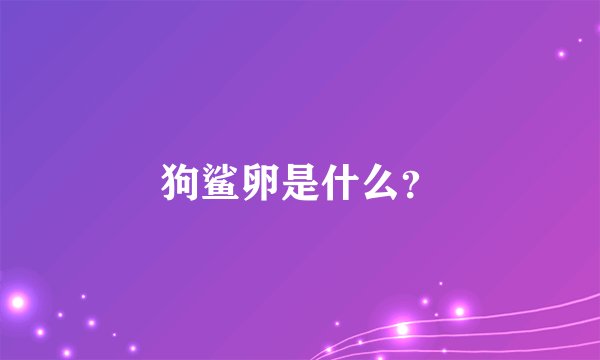 狗鲨卵是什么？