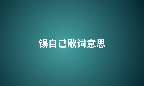 锡自己歌词意思