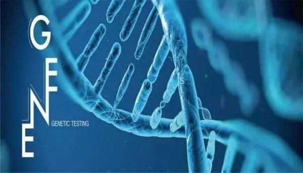 市面上儿童天赋基因检测这个是骗人的吗？