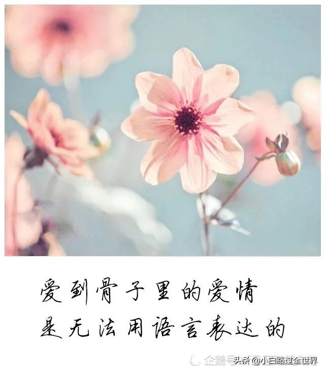 友情和爱情哪个更重要？