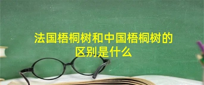 法国梧桐树和中国梧桐树的区别是什么