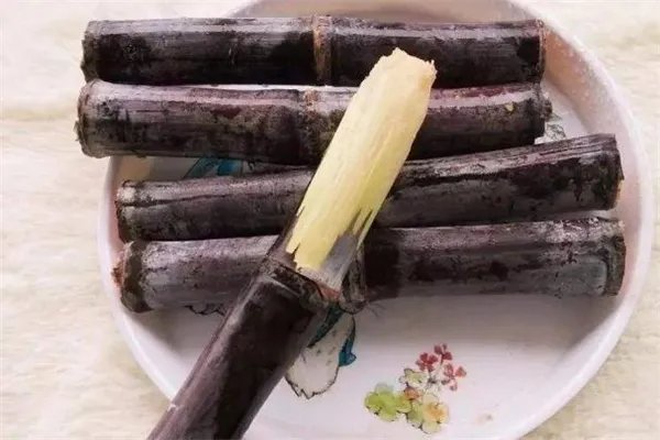 甘蔗渣是什么垃圾 吃过的甘蔗是什么垃圾