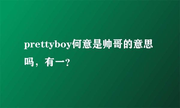 prettyboy何意是帅哥的意思吗，有一？