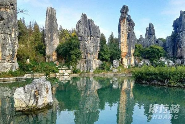 vivo s7和vivo x50哪个好_vivo s7和vivo x50参数配置对比