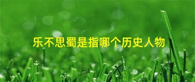 乐不思蜀是指哪个历史人物
