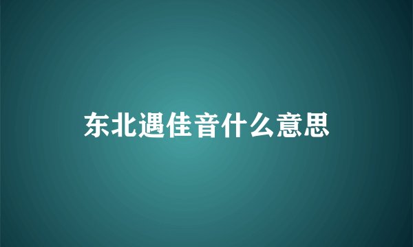 东北遇佳音什么意思