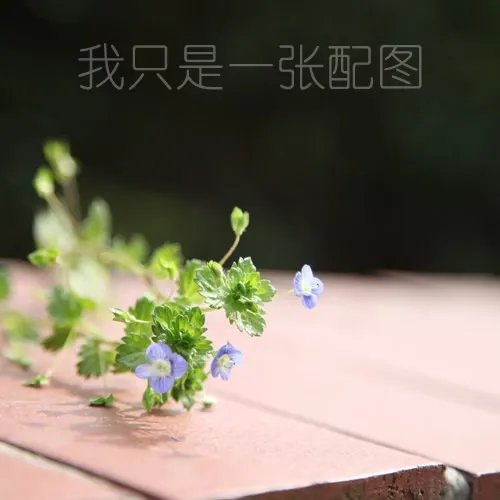 【贵阳美食攻略】贵阳特色小吃美食有哪些 贵阳小吃街 贵阳特产盘点