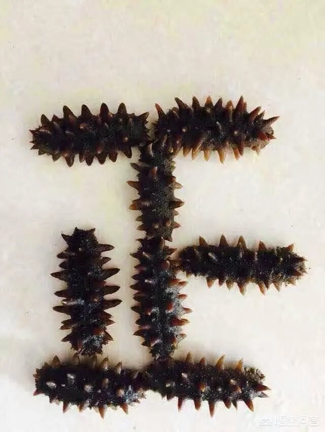 创业坚持做自己的品牌，还是去加盟一个同行的大品牌更合适？