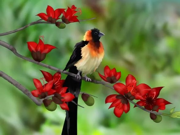 花城是哪里 花城是指我国哪个城市