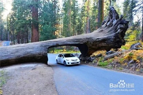 全球八大令人惊叹的隧道，中国郭亮隧道排名第一