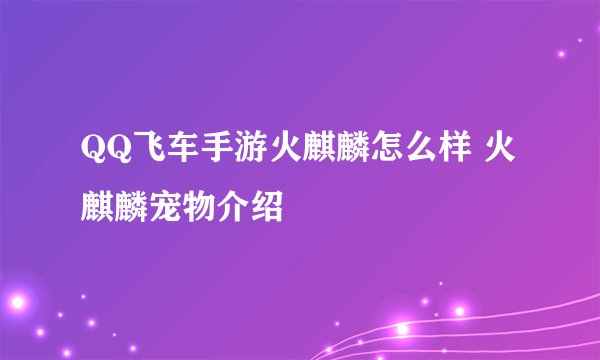 QQ飞车手游火麒麟怎么样 火麒麟宠物介绍