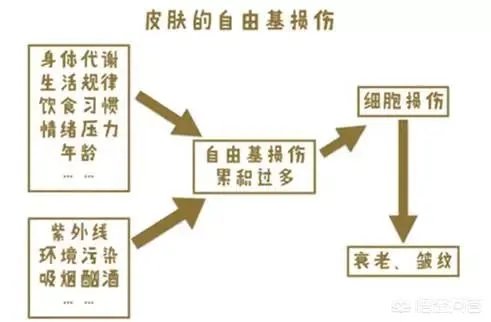 老年斑是怎么回事？