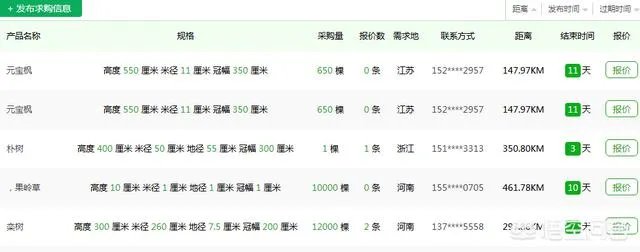 怎么在网上买到真苗木