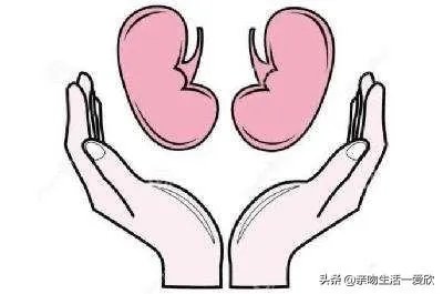 “精血”是什么？