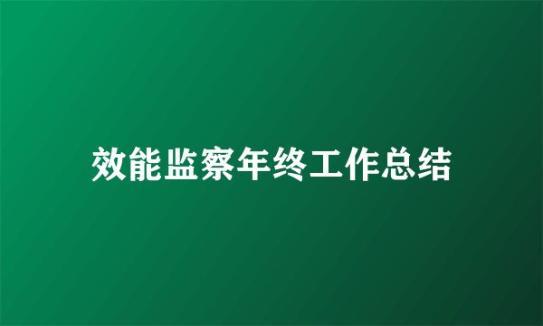 效能监察年终工作总结
