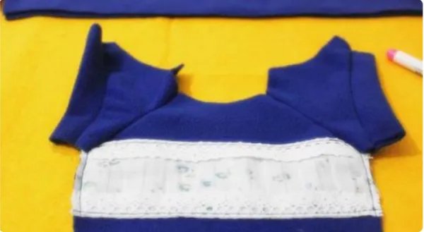 狗狗的衣服图片大全图片