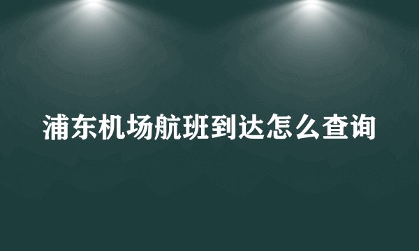 浦东机场航班到达怎么查询