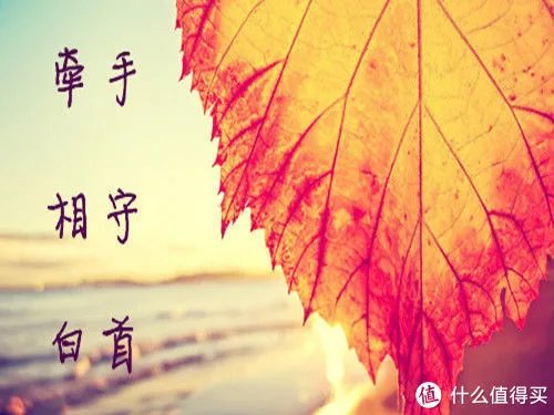 因为情怀和信仰 — SONY 索尼 PHA-2 便携解码耳放 详细测评