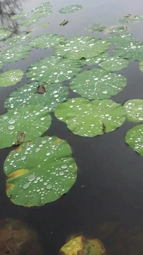 2016 年,你拍过最棒的图片是哪一张?