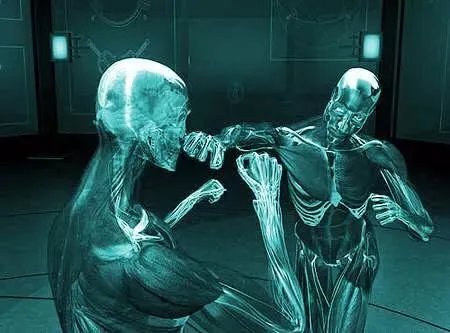 职业泰拳一年,为什么我的力量还是非常小?