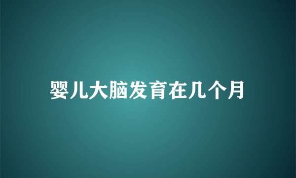 婴儿大脑发育在几个月