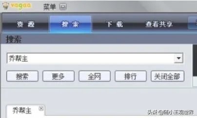 vagaa的设置技巧和搜索方法?