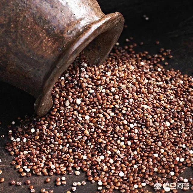 怎样辨别招聘陷阱？总裁助理职位有哪些分析实例？