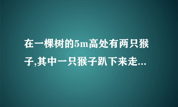在一棵树的5m高处有两只猴子,其中一只猴子趴下来走向离树15m处的池塘