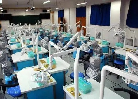 口腔医学和口腔医学技术有什么区别？