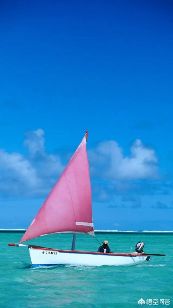 有什么800以下的大牌手机推荐？