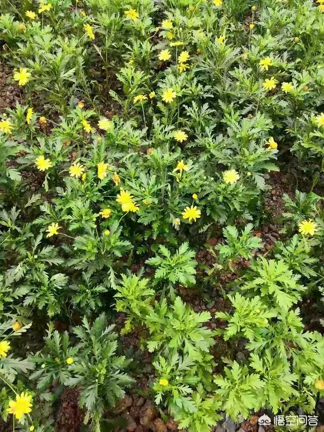 范冰冰和李晨分手了，你怎么看？