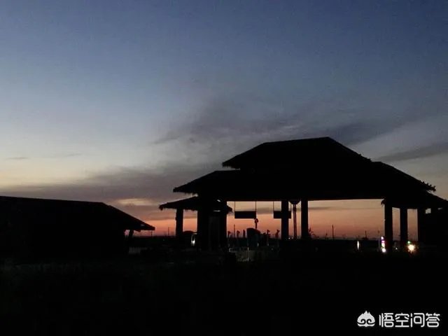 辽宁红海滩值得去吗?为什么海滩是红色的呢?